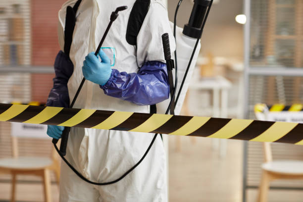 Professional Sewage Cleanup technician working in Forestdale, MA